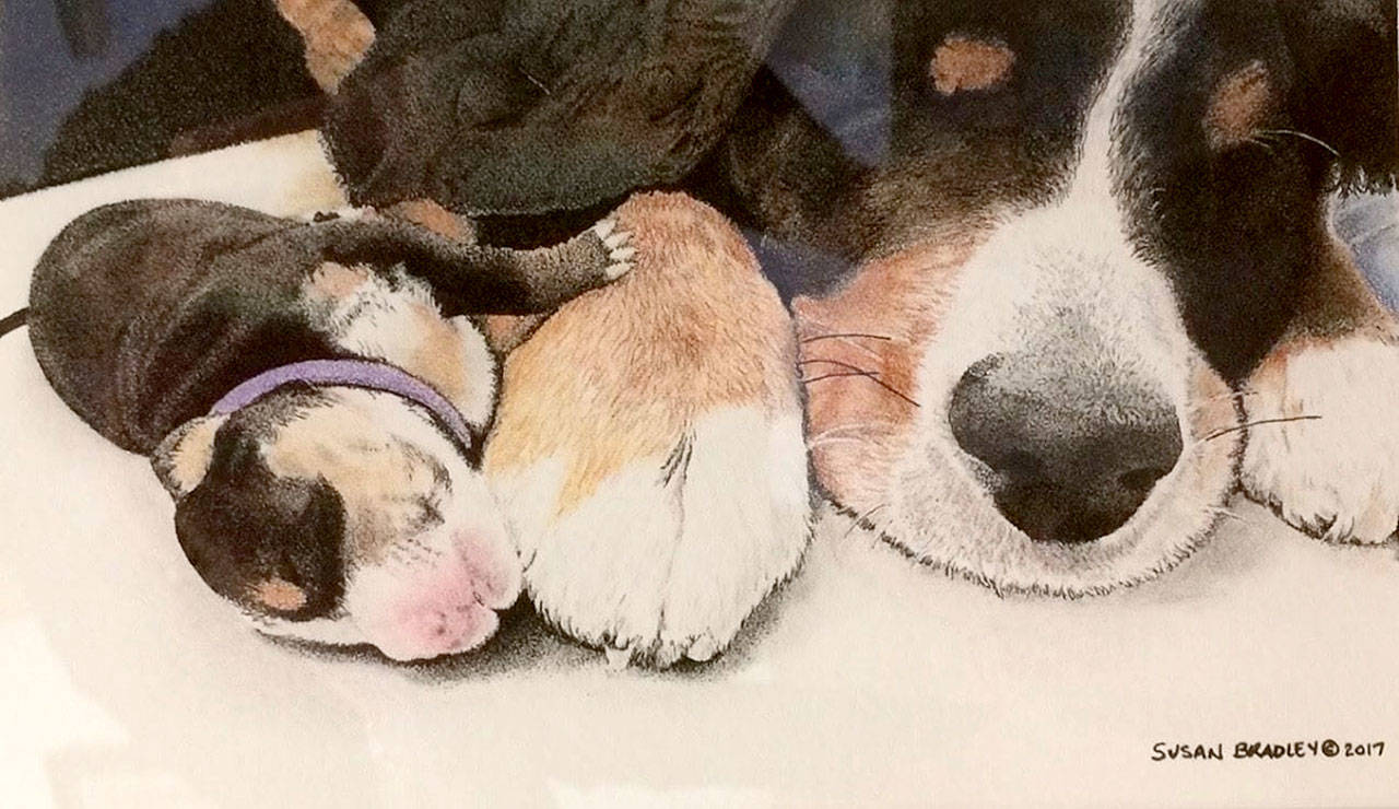 “Magnus” is an example of Susan Bradley’s pointillism on display through April at Artworks Gallery in Langley.