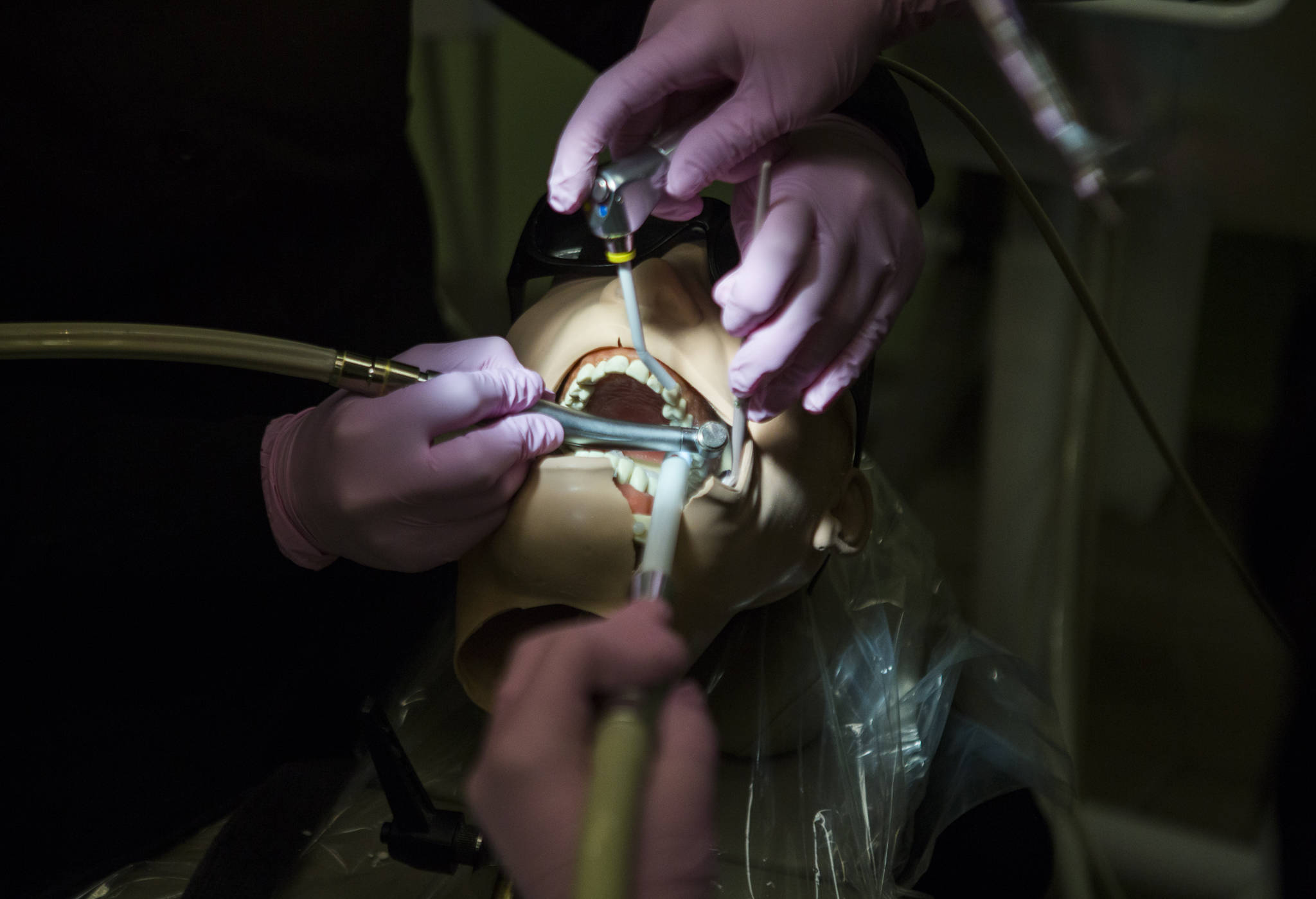 Students and instructors work on a crown prep exercise at Northshore Dental Assisting Academy on April 9 in Everett. (Olivia Vanni / The Herald)