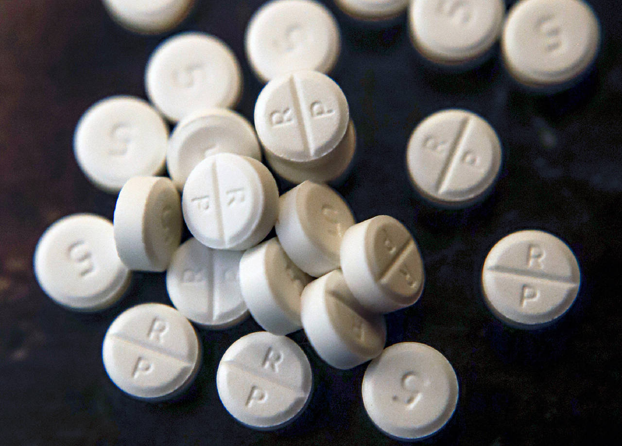 This photo shows 5-mg pills of Oxycodone. The state Supreme Court struck down the Washington law that makes simple drug possession, including up to 40 pills of Oxycodone, a felony. (AP Photo/Keith Srakocic, File)