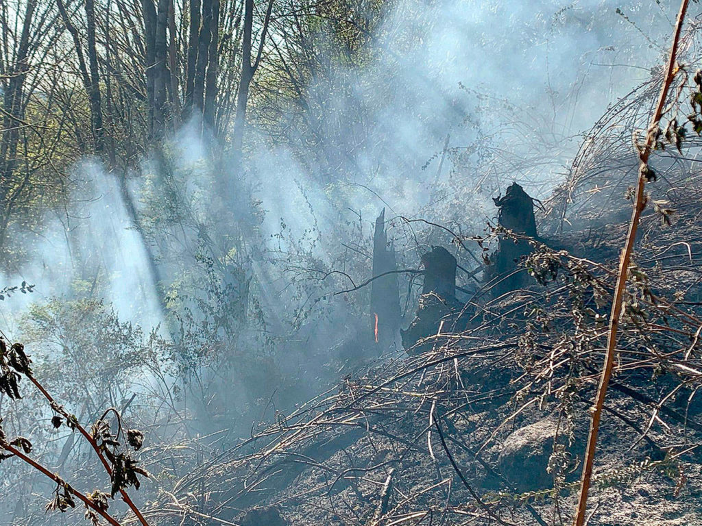 Firefighters kept a wildfire in the Grandview area northeast of Arlington from growing beyond the 1.5 acres it torched Sunday afternoon. (North County Fire/EMS)

