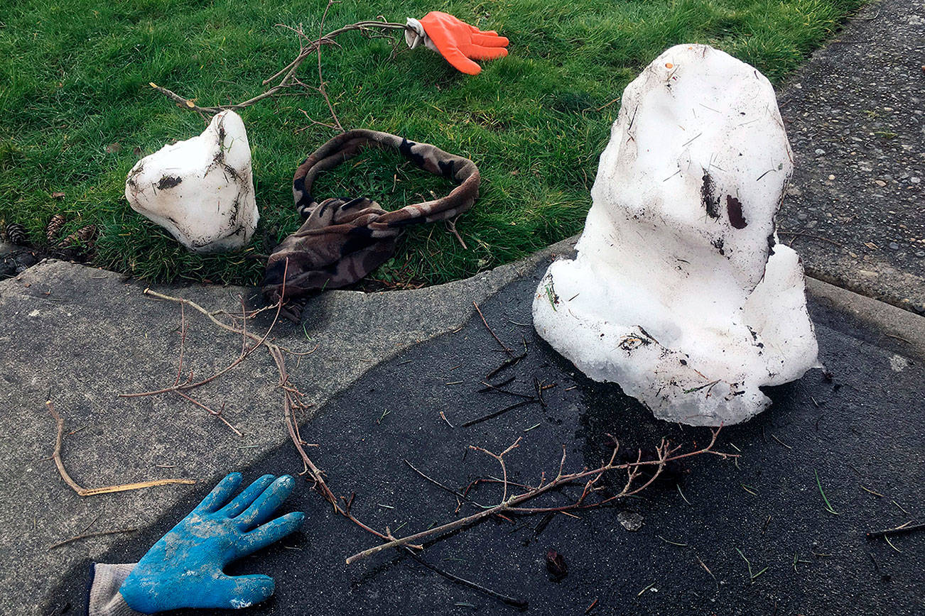 Gloves. One of the former snowpeople, residents of Rucker and Hoyt avenues in Everett, which were photographed in their waning throes of existence on Feb. 17, 2019. (Sue Misao / The Herald) 20190217