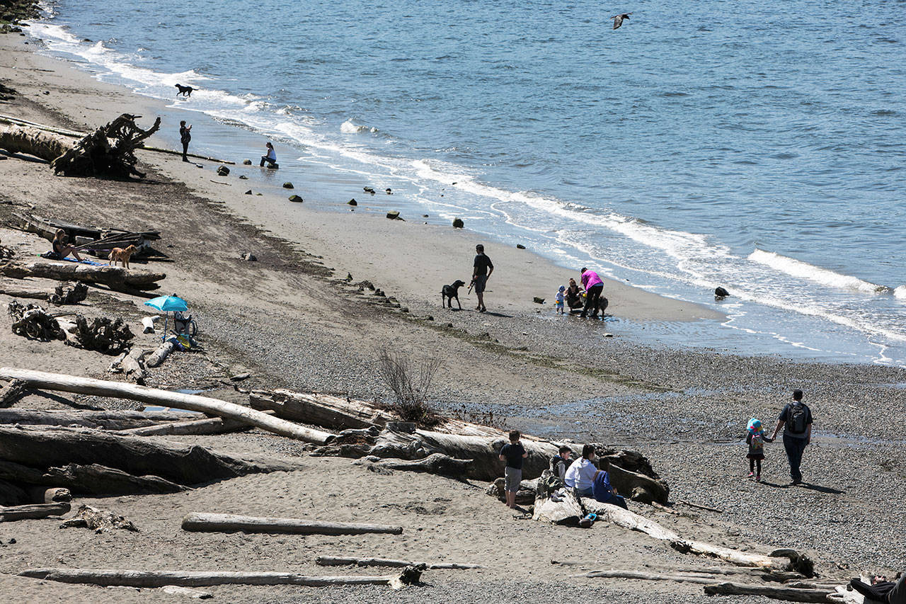 A sunny day attracts a crowd to the beach at Howarth Park in Everett. (Lizz Giordiano / Herald file)