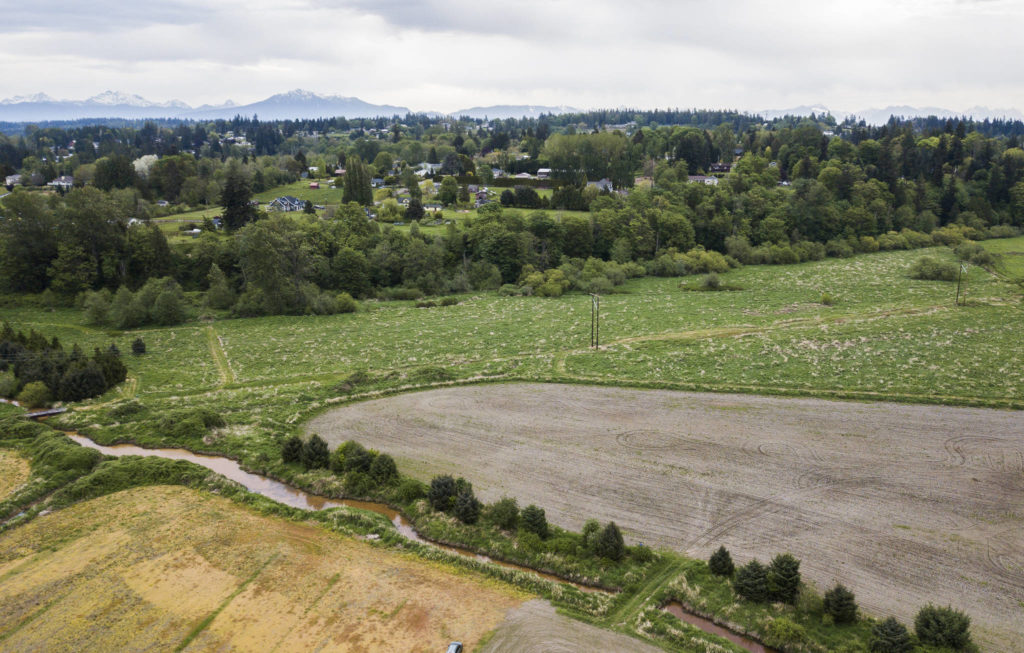 Ben Krause donated land to the Snohomish Conservation District for salmon habitat and drainage improvements near Snohomish. (Olivia Vanni / The Herald)
