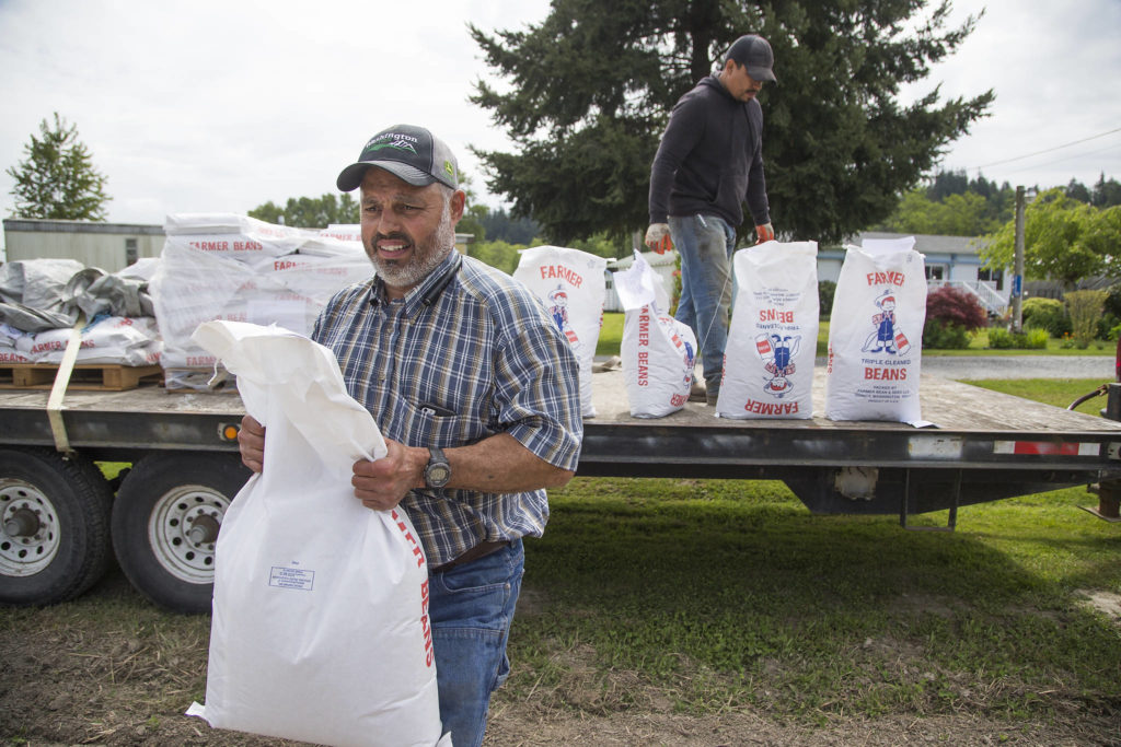 Spencer Fuentes and Juan Martinez pull bags of black bean seeds off a pallet May 12 in Arlington. Fuentes grows the beans for the company called Farmer Beans & Seed. (Andy Bronson / The Herald)
