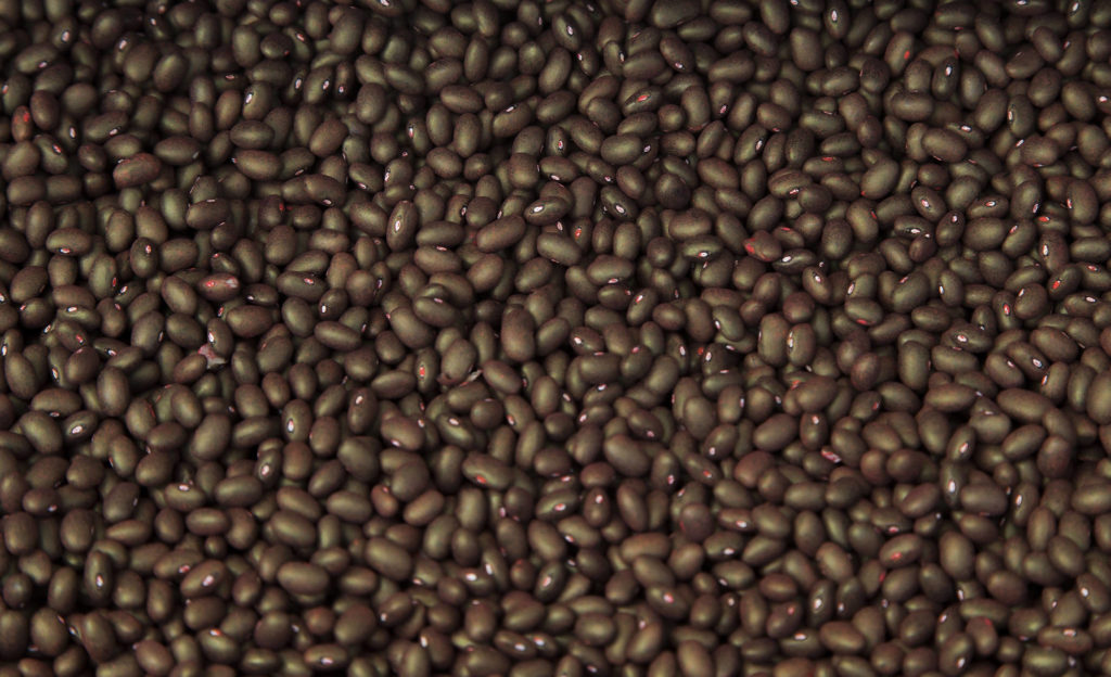 Black beans seeds in Arlington. (Andy Bronson / The Herald)
