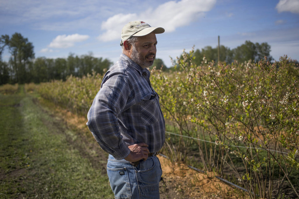 Spencer Fuentes, owner of Hazel Blue Acres Farm in Arlington, sees climate change for the fact that floods on the Stillguamish River have gotten worse in his lifetime. (Andy Bronson / The Herald)
