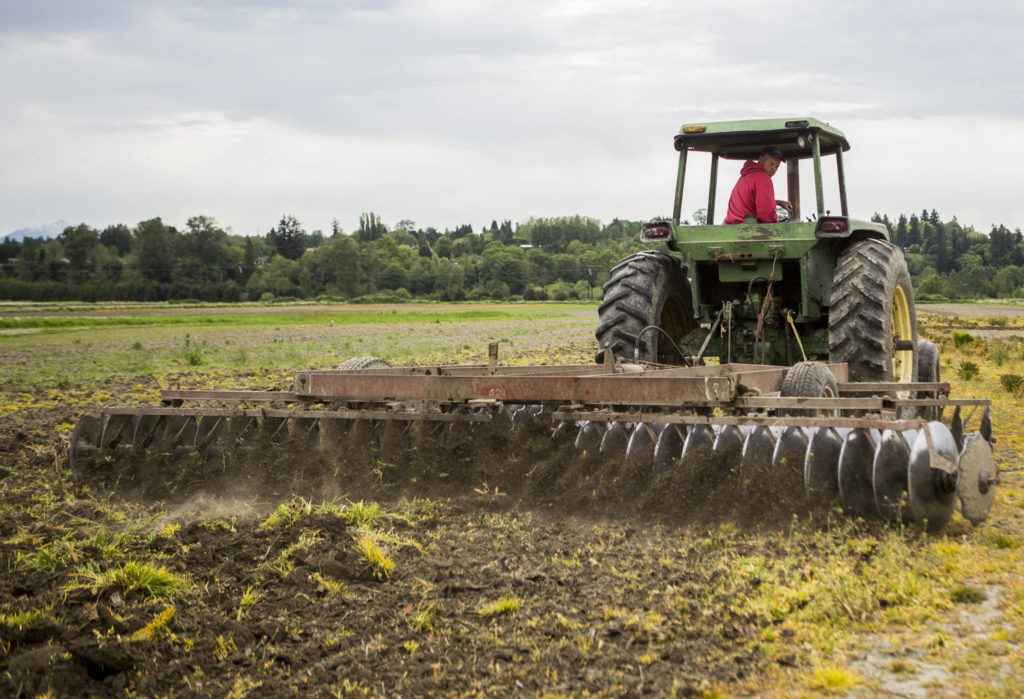 Ben Krause disks soil on Swans Trail Farms near Snohomish. (Olivia Vanni / The Herald)
