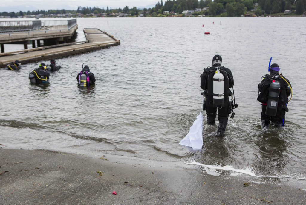 Volunteer divers make their way into the water with bags to help collect trash and debris May 23 in Lake Stevens. (Olivia Vanni / The Herald) 
