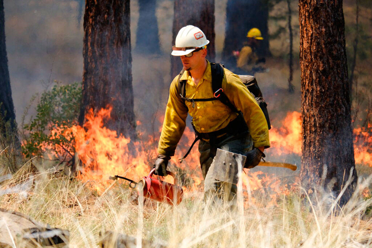 U.S. Forest Service firefighters carry out a prescribed burn on the grounds of the High Desert Museum, near Bend, Ore., on May 14. The prescribed burn is part of a massive effort in wildlands across the West to prepare for a fire season that follows the worst one on record. (Kyle Kosma / High Desert Museum via AP)