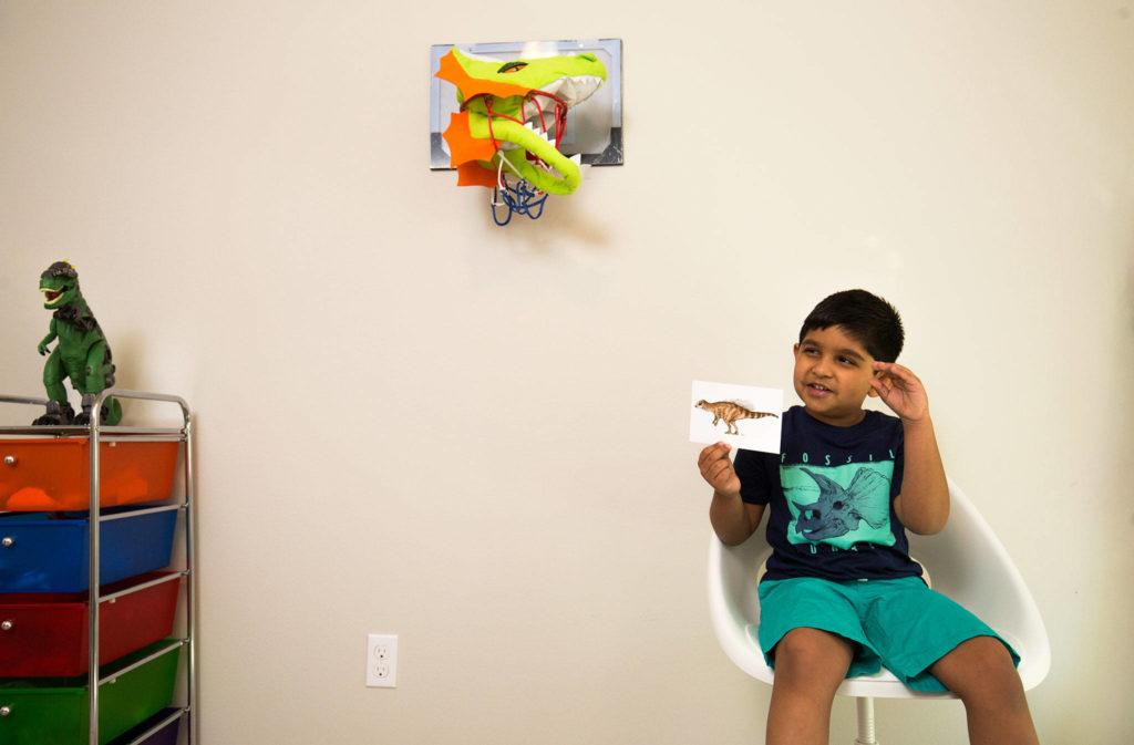 Sathvik Anand, a kindergartener at Skyline Elementary in Lake Stevens, makes YouTube videos about Micropachycephalosaurus and other dinosaurs at home in Lake Stevens. (Andy Bronson / The Herald)
