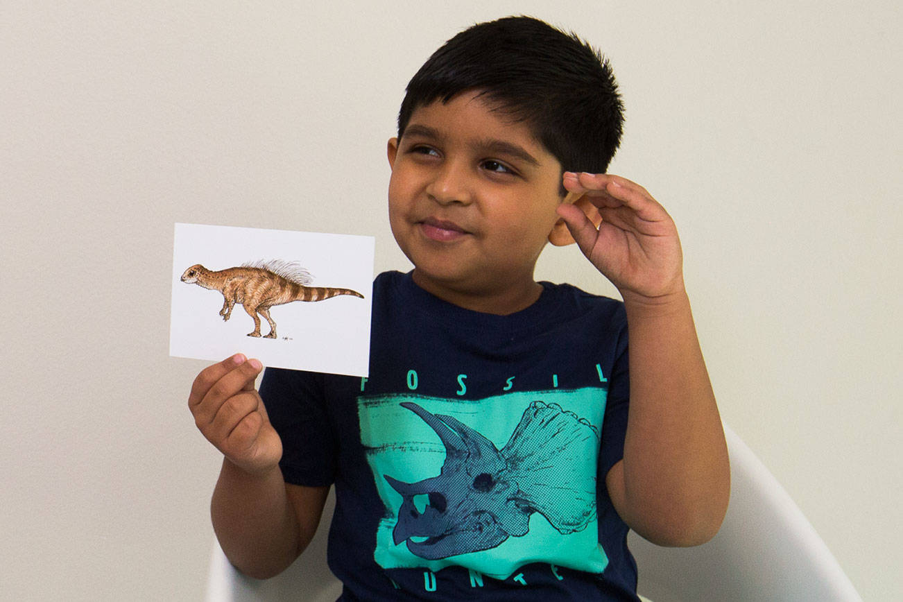 Sathvik Karolil Anand is a kindergartener at Skyline Elementary in Lake Stevens. He is making 10 YouTube videos where he talks about 101 dinosaurs. He is describing dinosaurs in this room where he makes videos on Wednesday, June 2, 2021 in Lake Stevens, Washington.  (Andy Bronson / The Herald)
