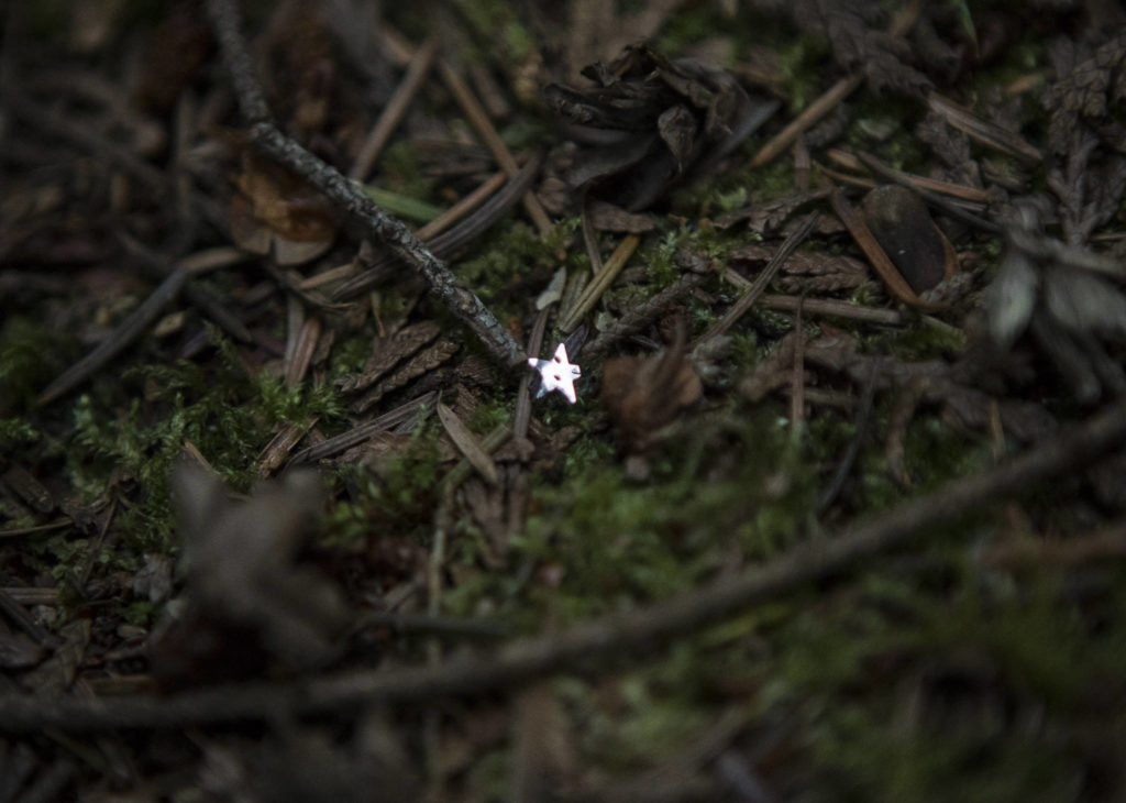 A silver confetti star left by “fairies” is covered by forest duff in the Fairyland area at Camp Killoqua. (Olivia Vanni / The Herald)
