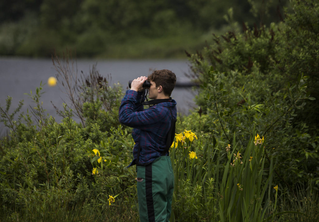 A spectator watches with binoculars as the hydroplanes make their first turn around the course during the Silver Lake Regatta on Saturday, June 5, 2021 in Everett, Wash. (Olivia Vanni / The Herald)
