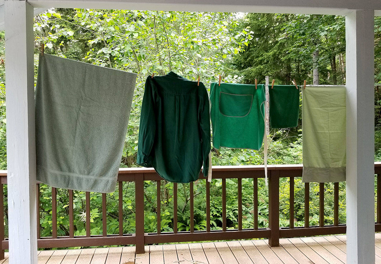 Marcia Rivers Smith’s photo was the 2020 winner for the “Green” theme and named Best of Show in the Edmonds Rotary Photomarathon.