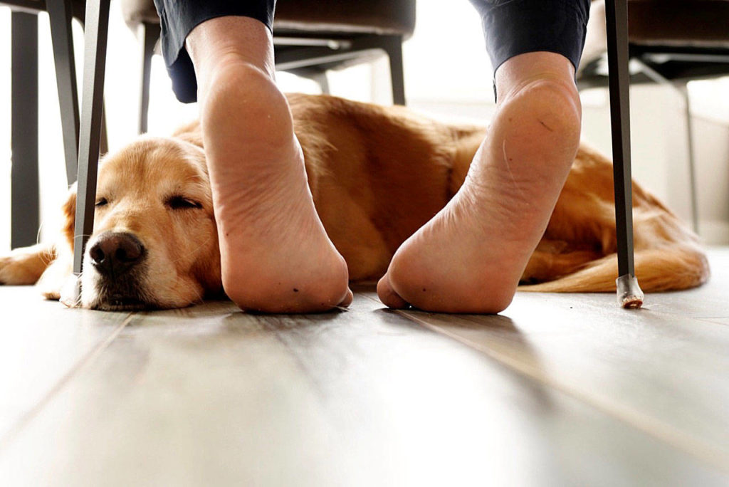 Bill Callen’s photo won the “Beside” prompt in last year’s Photomarathon.
