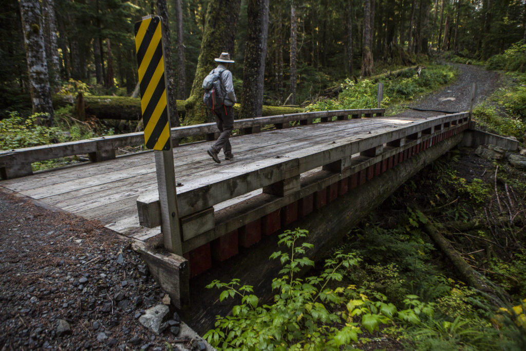 This October 2020 photo shows a log bridge that crosses a creek along an access road connected to the Monte Cristo trail. (Olivia Vanni / Herald file)
