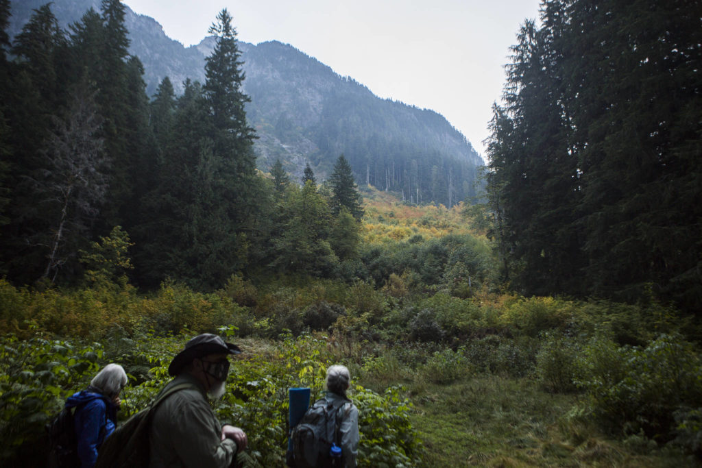 A clearing along the access road in October 2020. (Olivia Vanni / Herald file)
