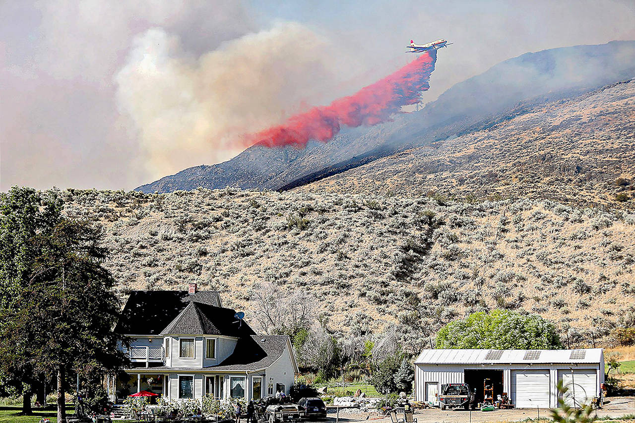A plane drops fire retardant on the Palmer Mountain Fire last summer in North Central Washington. (Laura Knowlton / Sound Publishing)