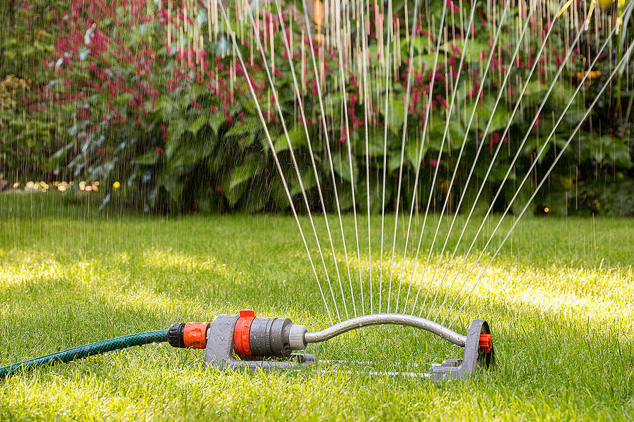 Our lawns can start to look stressed by June, so fertilize them and keep them hydrated. (Getty Images)
