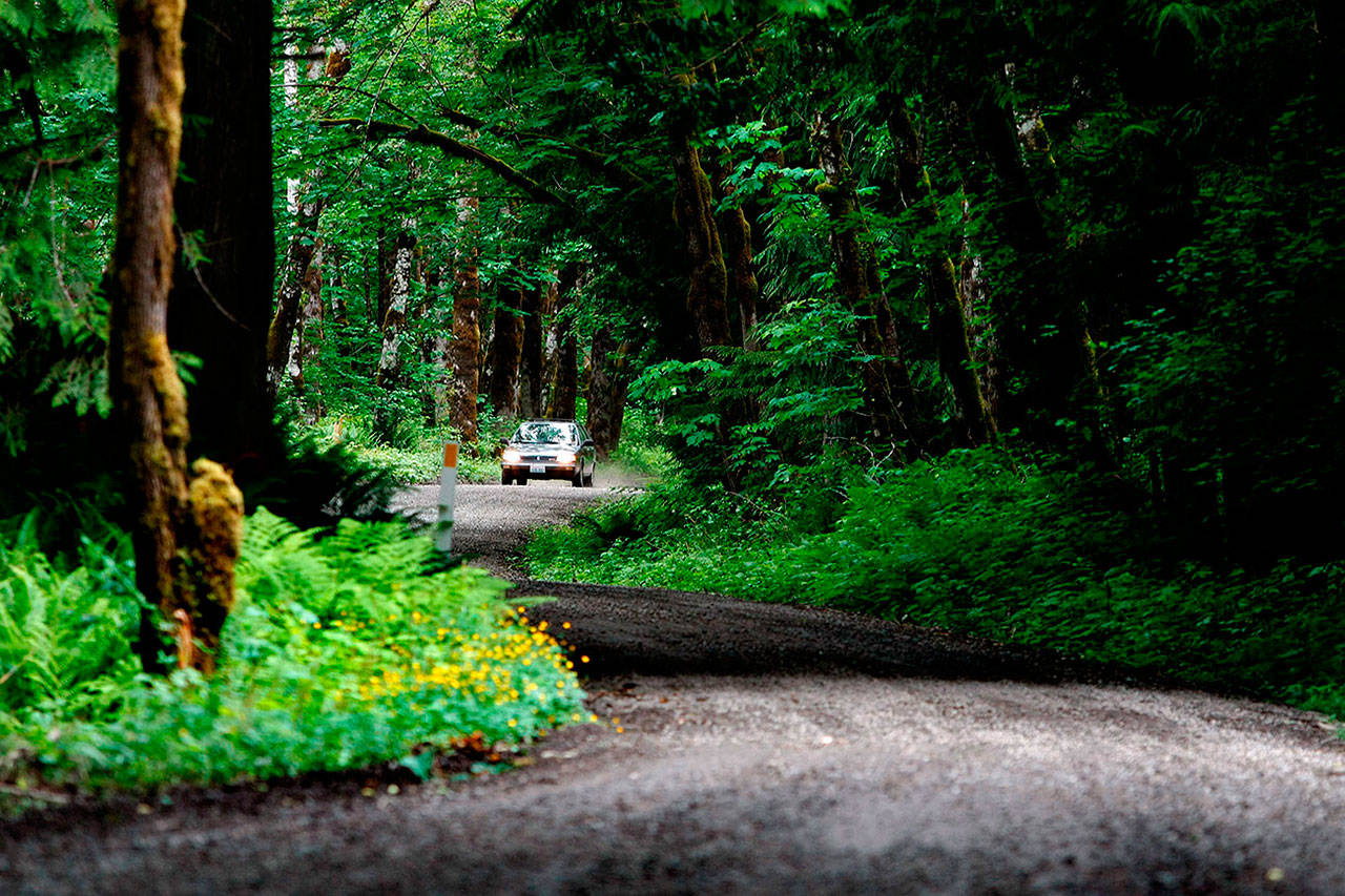 A car makes its way through an unpaved section of the Mountain Loop Highway. (Jennifer Buchanan / Herald file)