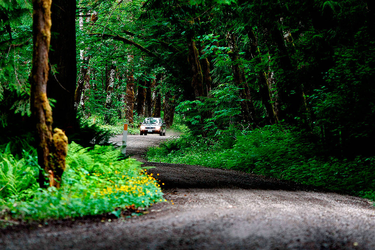 LOCAL - MOUNTAIN LOOP HIGHWAY
HERALD STAFF PHOTO BY JENNIFER BUCHANAN
PHOTO SHOT 062208
A car makes its way through a winding unpaved section of the Mountain Loop Highway 15 miles outside of Darrington.