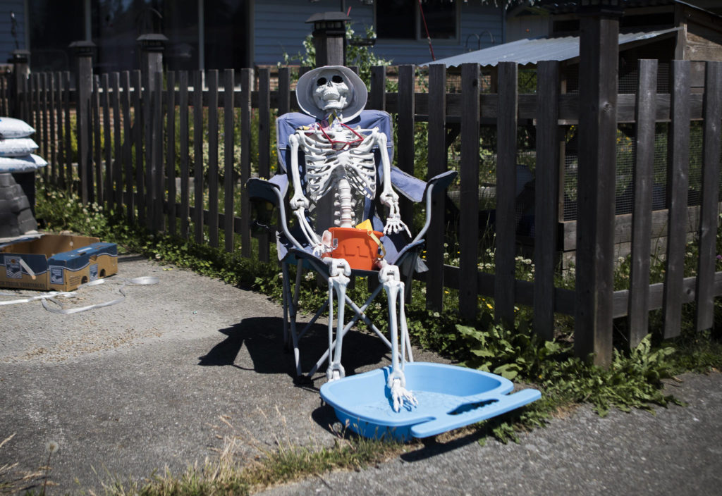 A plastic skeleton sits in a camping chair with its own plastic pool Saturday in the driveway of a home in Everett. During the heat wave temperatures reached 95 degrees on Saturday with a forecasted high of 103 degrees Monday. (Olivia Vanni / The Herald)
