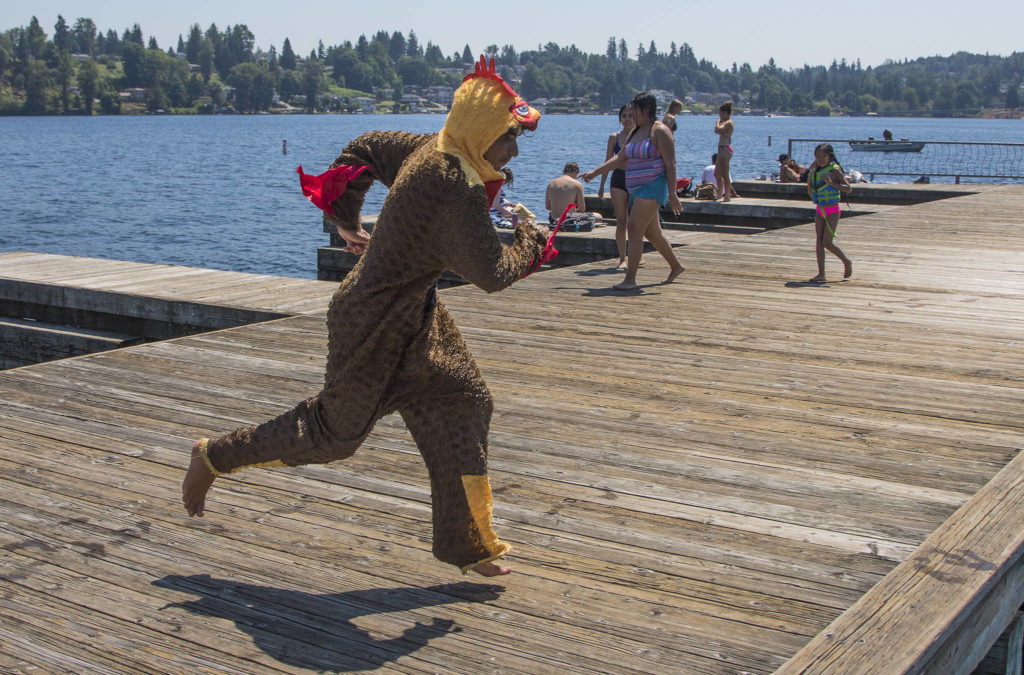 Why did the chicken jump in the lake? Because he lost a bet to a friend. Logan Root, 19, jumps into Lake Stevens wearing a chicken suit at Davies Beach (formerly Willard Wyatt Park) on Tuesday. (Andy Bronson / The Herald)

