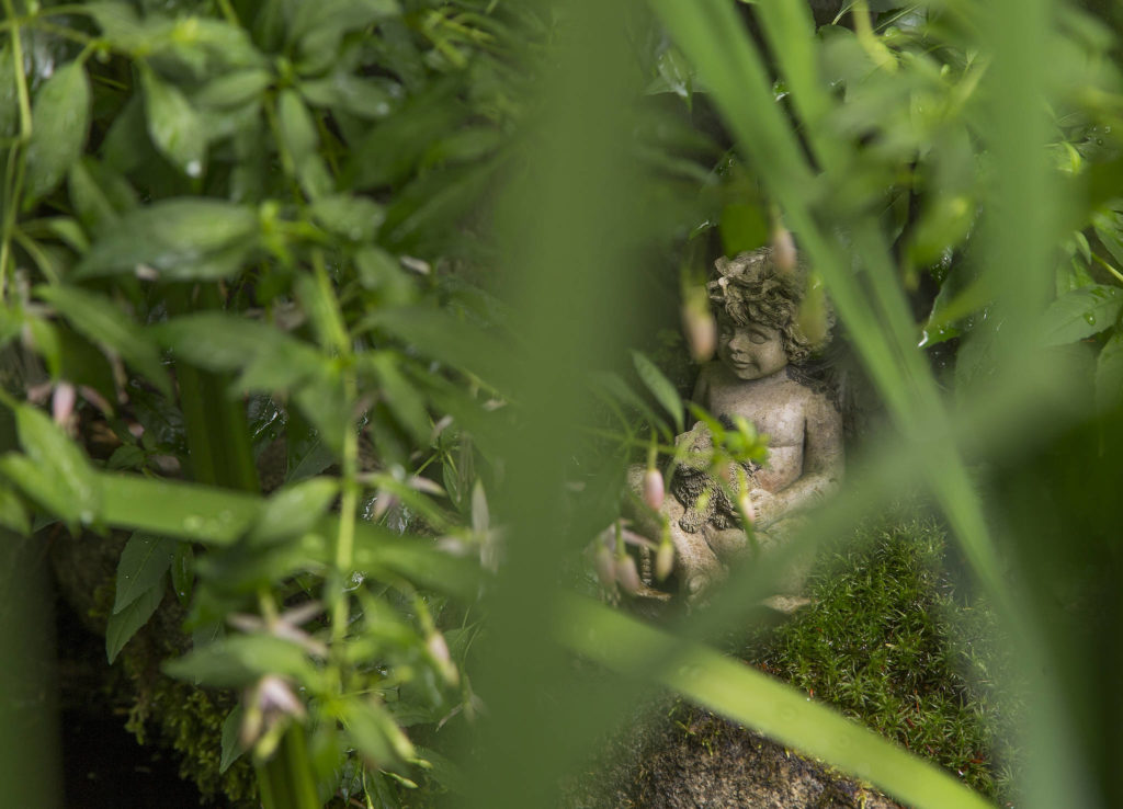 An angel statue is one of many to be searched for in the garden at Bill and Pat Taylor’s home. (Andy Bronson / The Herald)
