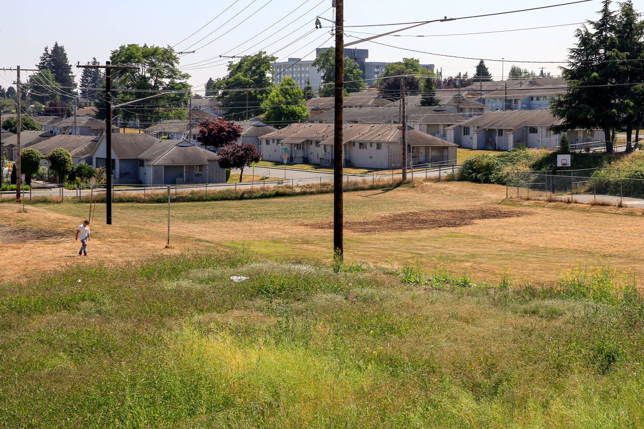 Bert Erickson Field at Wiggums Hollows Park in the Delta neighborhood of Everett. (Kevin Clark / The Herald)
