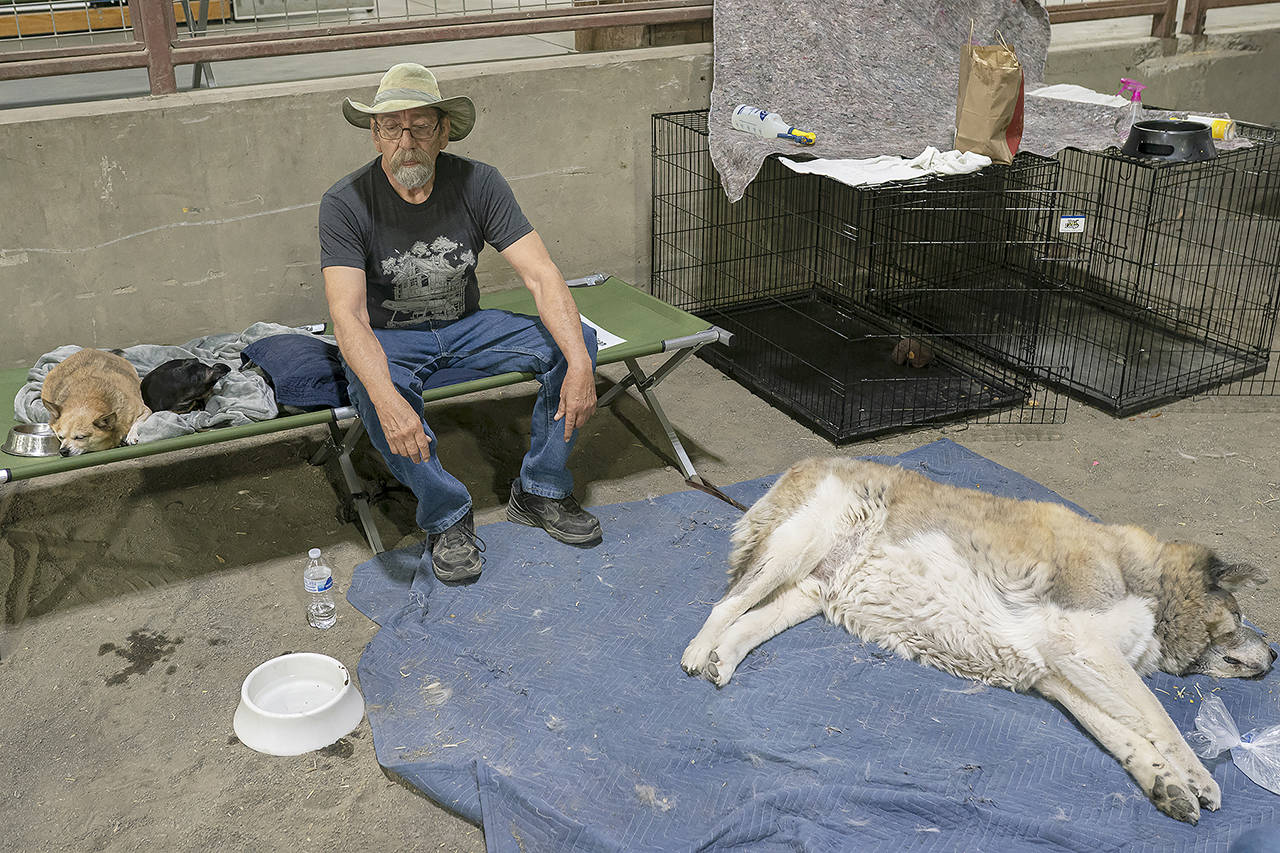 Art Garcia and his dog Shiro rest after evacuating to a Red Cross shelter near the Bootleg Fire on Tuesday in Klamath Falls, Oregon. (AP Photo/Nathan Howard)