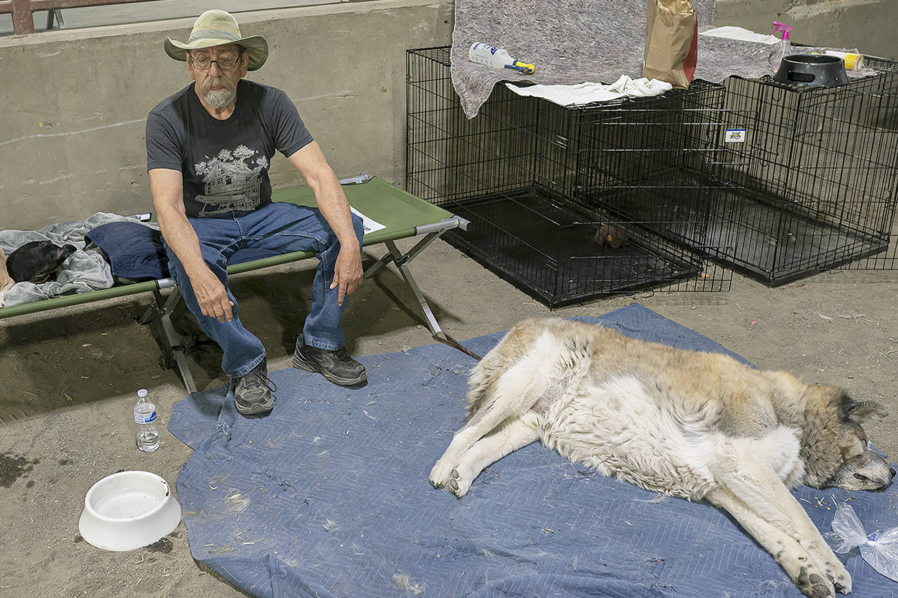 Art Garcia and his dog Shiro rest after evacuating to a Red Cross shelter near the Bootleg Fire on Tuesday, July, 13, 2021 in Klamath Falls, Ore. A high-pressure system that created the second intense heat wave of the year is weakening Tuesday, but temperatures are forecast to remain above normal on the lines of more than 60 active large fires. (AP Photo/Nathan Howard)