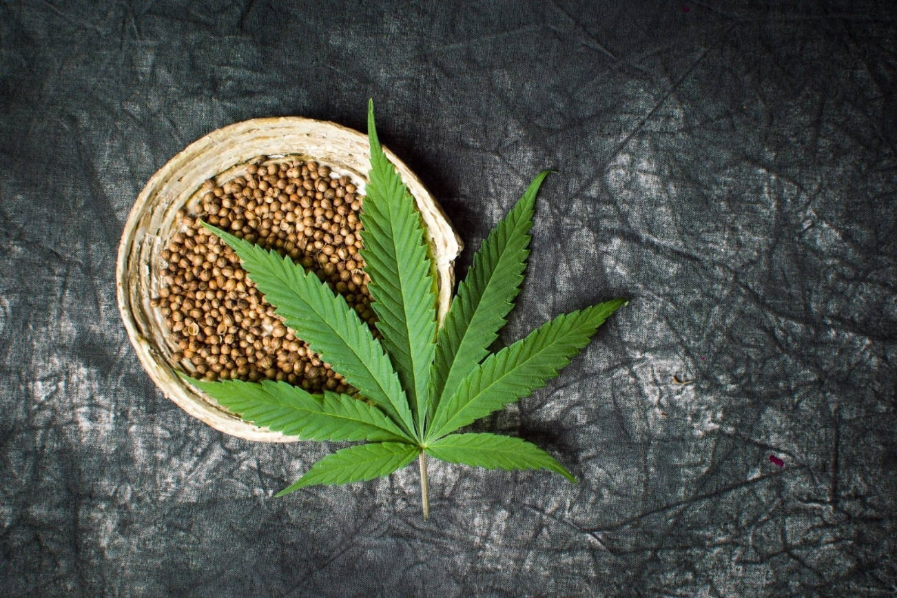 Where Can I Buy Pot Seeds