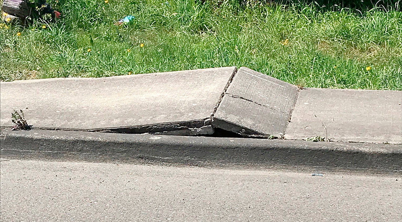 A section of sidewalk along Marine Drive in Tulalip buckled under the 100-degree heat in late June. (Snohomish County Public Works)