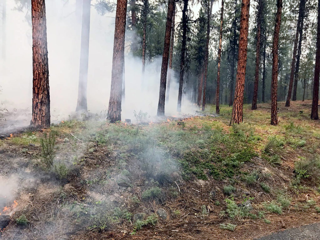 The Cub Creek 2 Fire is burning along the Chewuch River drainage. (U.S. Forest Service)
