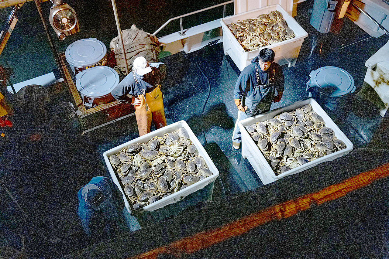 Workers prepare to offload Dungeness crab from a boat on Pier 45 in the Fisherman’s Wharf district of San Francisco. (David Paul Morris / Bloomberg News )