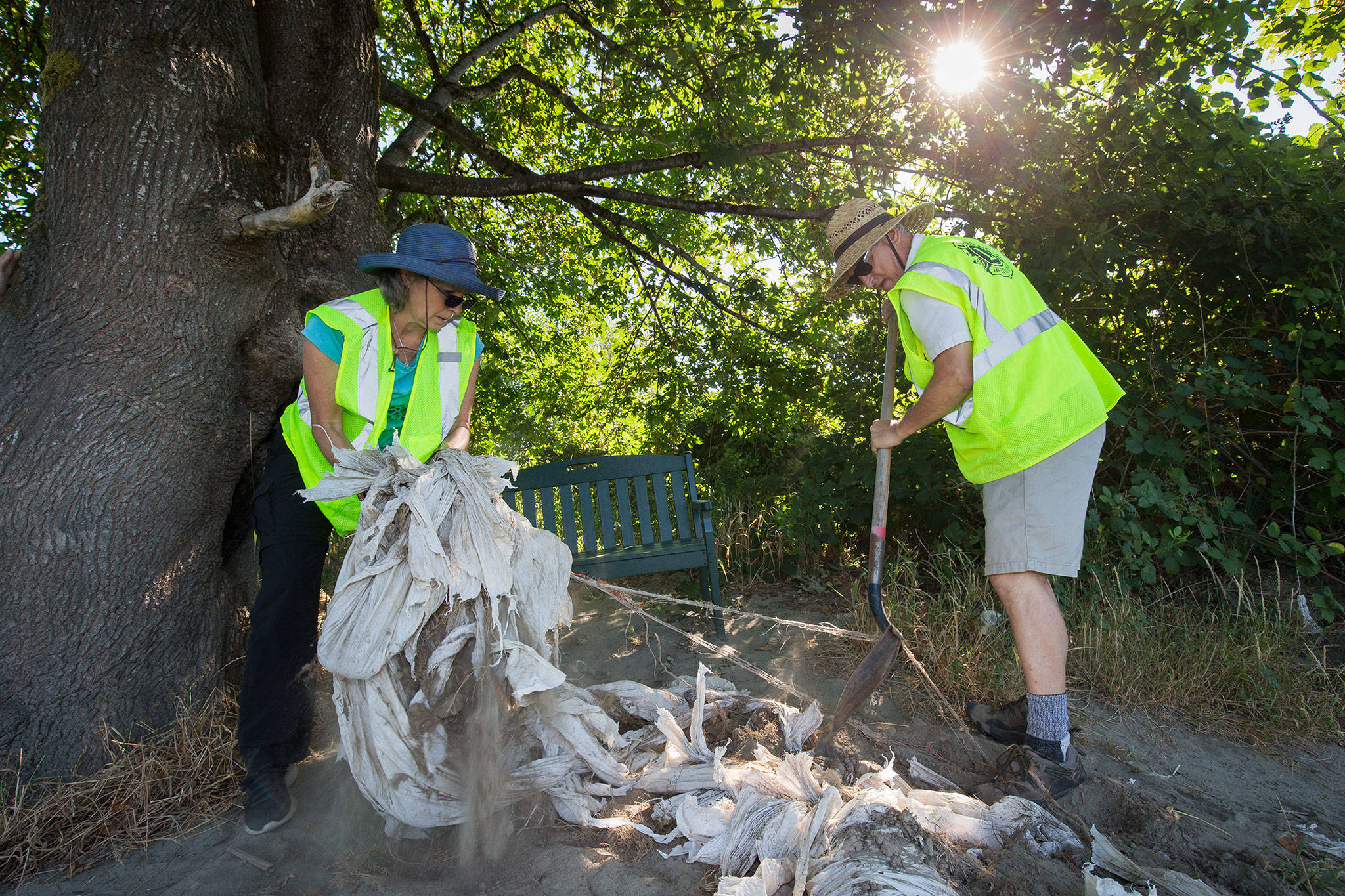 Lions Club treasurer Renee Deierling (left) and Mike Edwards pull out plastic and netting to clear a space for one of two benches they were installing at Pilchuck Julia Landing on Aug. 4 in Snohomish. (Andy Bronson / The Herald)
