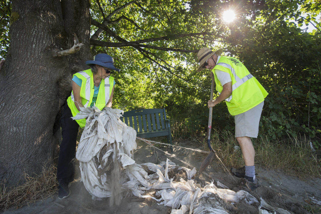 Lions Club treasurer Renee Deierling (left) and Mike Edwards pull out plastic and netting to clear a space for one of two benches they were installing at Pilchuck Julia Landing on Aug. 4 in Snohomish. (Andy Bronson / The Herald)
