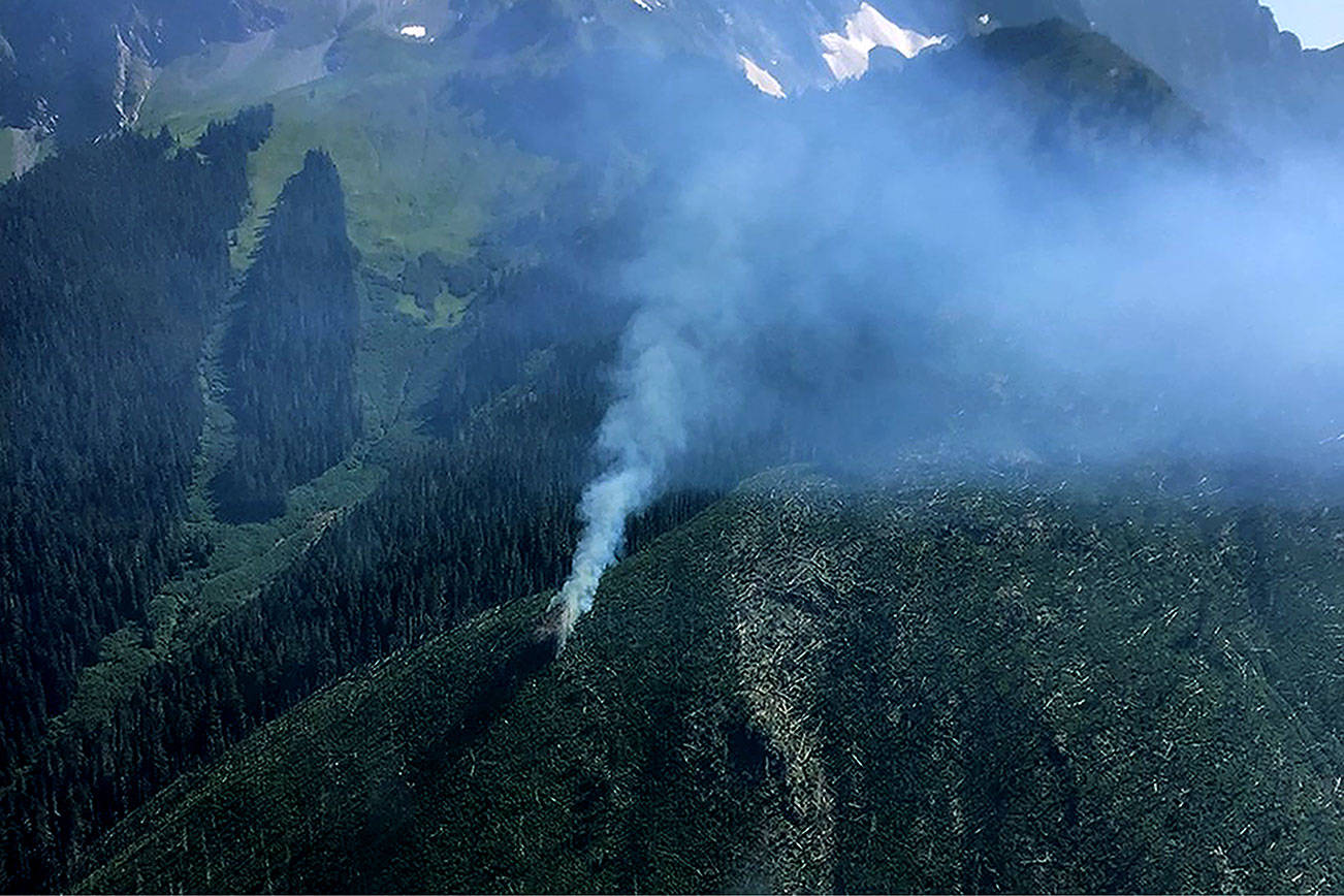 The Pincer Creek Fire pictured on Aug. 5. (U.S. Forest Service)