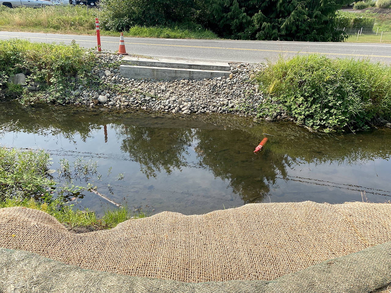 Two concrete footings for a pedestrian bridge sit on either side of Stevens Creek on the north side of North Cove Park in Lake Stevens. (Isabella Breda / The Herald)