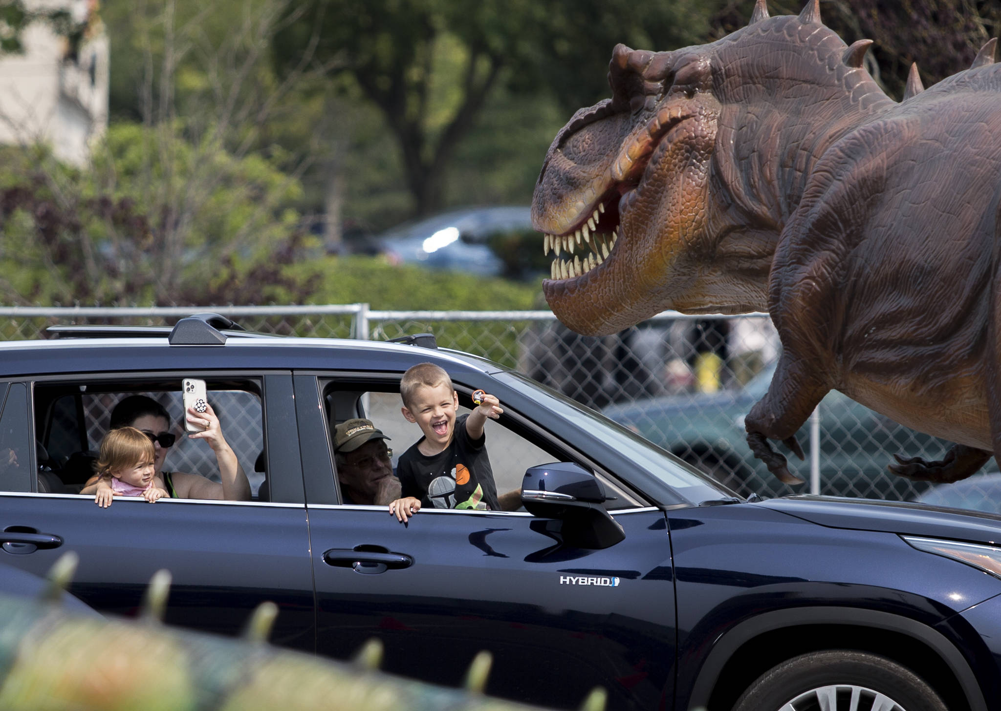 A young boy roars at a dinosaur at the Jurassic Empire drive-thru in the parking lot of Everett Mall. The event continues through Sunday. (Olivia Vanni / The Herald)