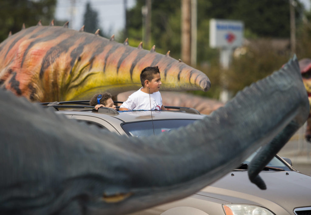 Children gawk at the dinosaurs at the Jurassic Empire drive-thru in Everett. (Olivia Vanni / The Herald) 
