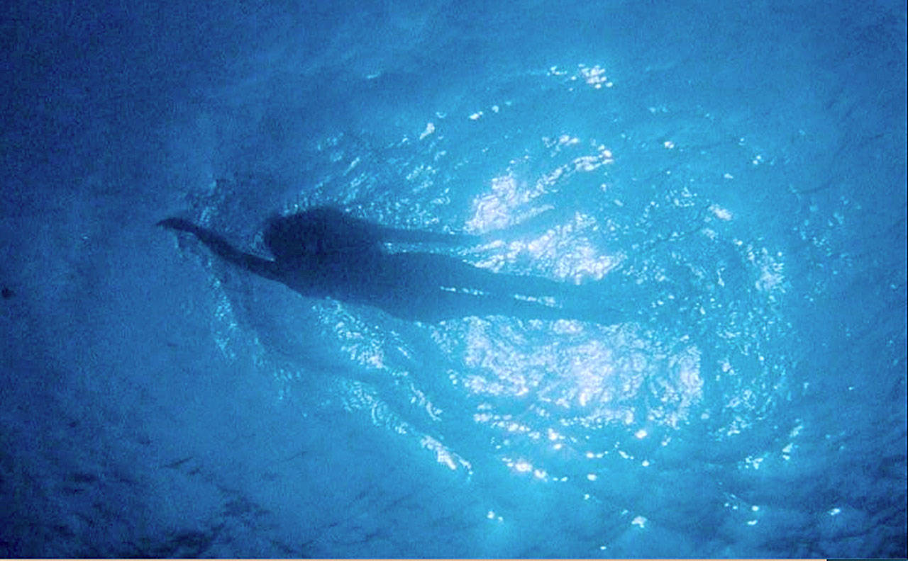The Edmonds Theater is showing “Jaws” for Throwback Thursday on Aug. 19. (Universal Pictures)