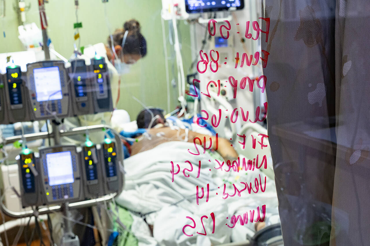 In this Aug. 31 photo, Ann Enderle R.N. checks on a COVID-19 patient in the Medical Intensive care unit (MICU) at St. Luke’s Boise Medical Center in Boise, Idaho. (AP Photo/Kyle Green, File)