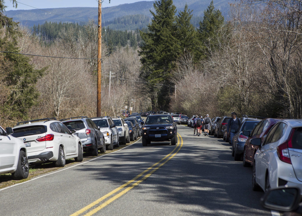 People walk along May Creek Road where hundreds of cars were parked March 21, 2020, due to a full parking lot at the Wallace Falls State Park trailhead near Gold Bar. (Olivia Vanni / The Herald)
