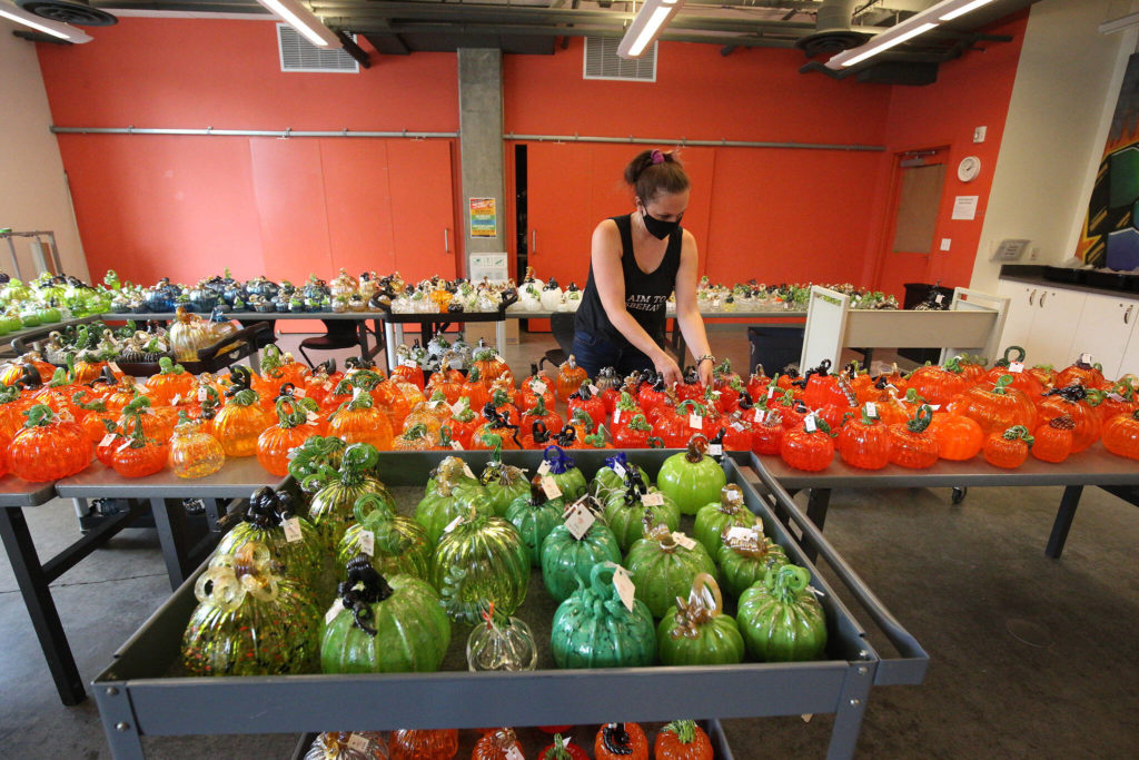 Josey Wise, exhibit preparator and gallery assistant at the Schack Art Center, sorts through hundreds of glass pumpkins in a variety of shapes, colors and sizes that will be on display during Schack-toberfest from Sept. 23 to Nov. 6 in Everett. (Andy Bronson / The Herald)
