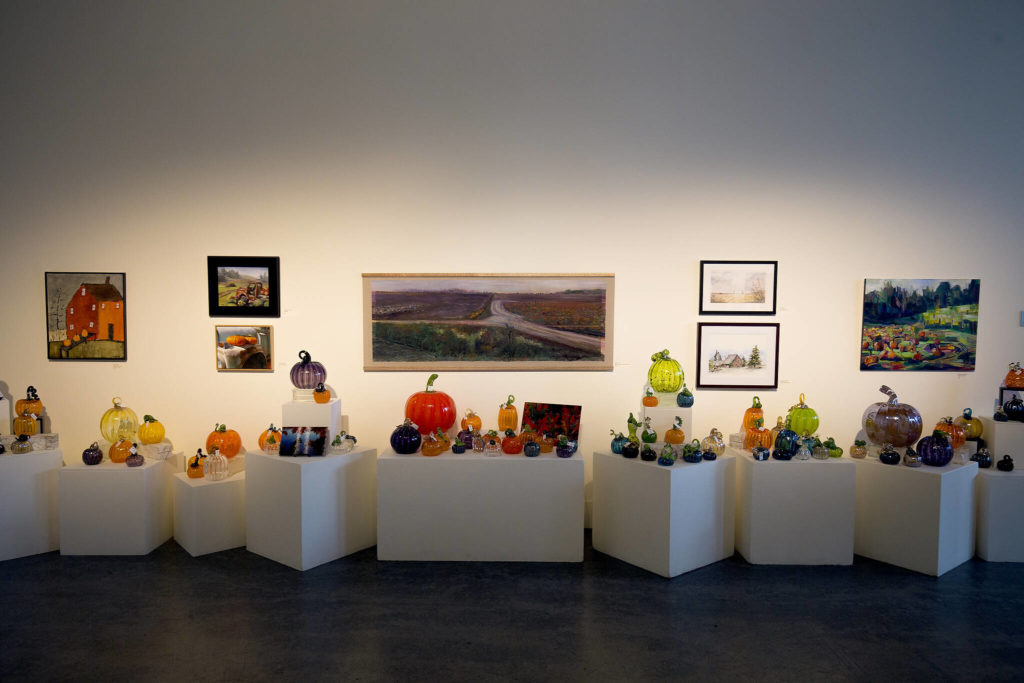 More than 1,000 glass pumpkins were made for this year’s Schack-toberfest, Everett’s glass pumpkin patch and harvest art festival, at the Schack Art Center. (Andy Bronson / The Herald)
