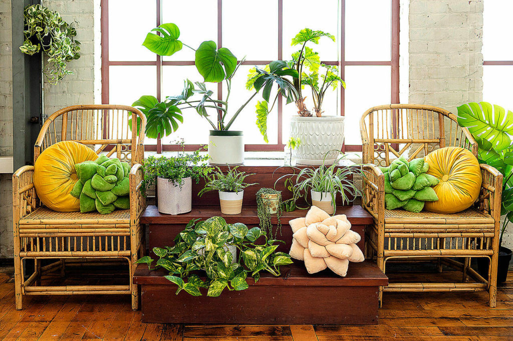 Green Philosophy Co. offers soft plush pillows in the shape of a tropical leaf or succulent. They’ve partnered with nonprofit Trees for the Future, so pillow and throw sales support planting initiatives worldwide. (Sarah Eichstedt / Green Philosophy Co.)
