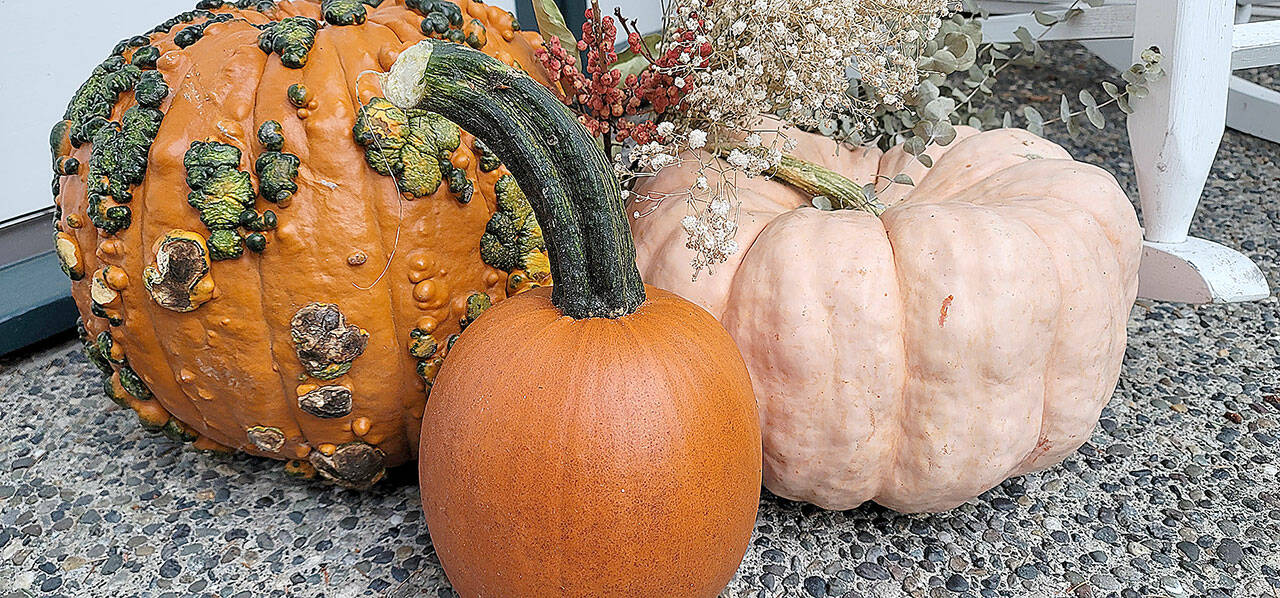 Get in the fall spirit by decorating your house for autumn. (Jennifer Bardsley)