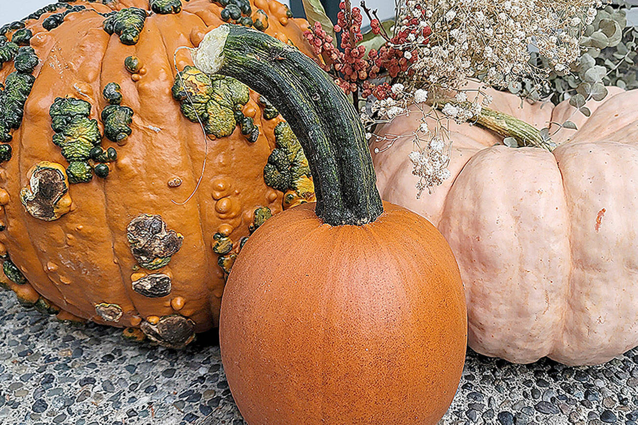 Get in the fall spirit by decorating your house for autumn. (Jennifer Bardsley)