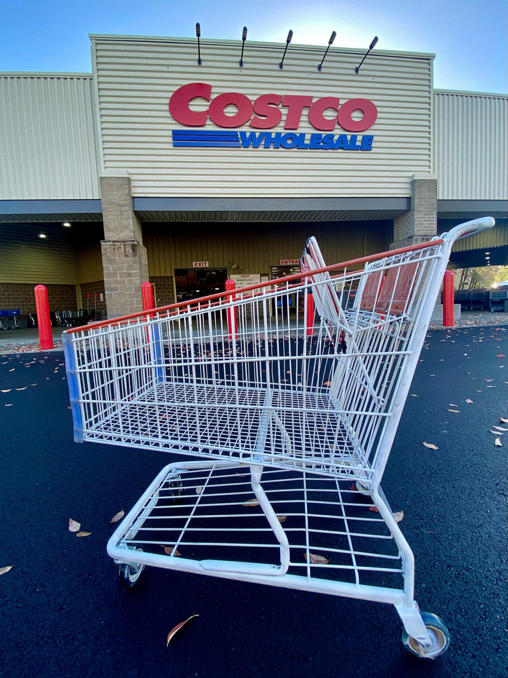 Lone white Costco cart formerly known as Blanco is celebrity